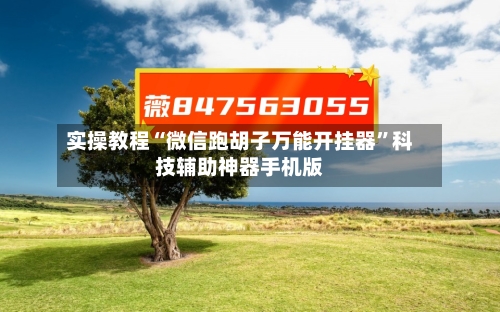 实操教程“微信跑胡子万能开挂器”科技辅助神器手机版-第1张图片