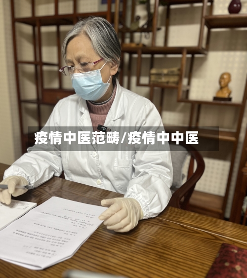 疫情中医范畴/疫情中中医-第2张图片