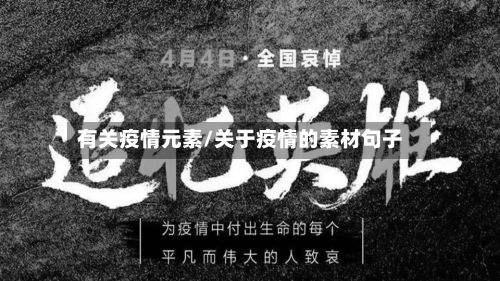 有关疫情元素/关于疫情的素材句子-第2张图片