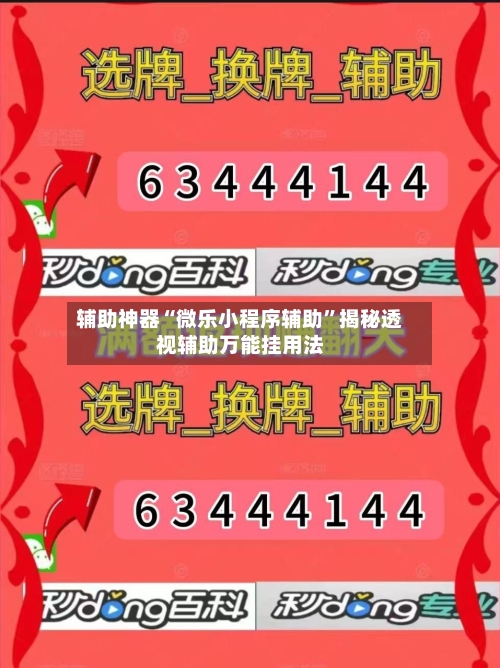 辅助神器“微乐小程序辅助”揭秘透视辅助万能挂用法-第2张图片