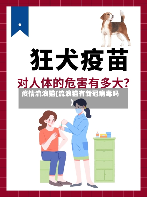 疫情流浪猫(流浪猫有新冠病毒吗)-第2张图片