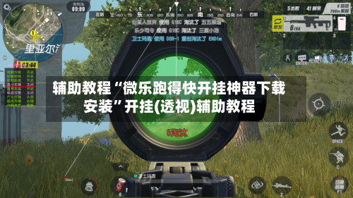 辅助教程“微乐跑得快开挂神器下载安装”开挂(透视)辅助教程-第2张图片