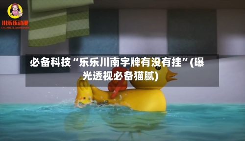 必备科技“乐乐川南字牌有没有挂”(曝光透视必备猫腻)-第1张图片