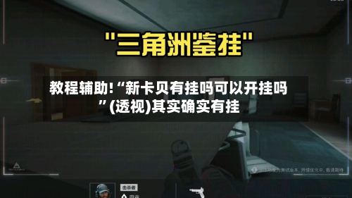 教程辅助!“新卡贝有挂吗可以开挂吗”(透视)其实确实有挂-第2张图片