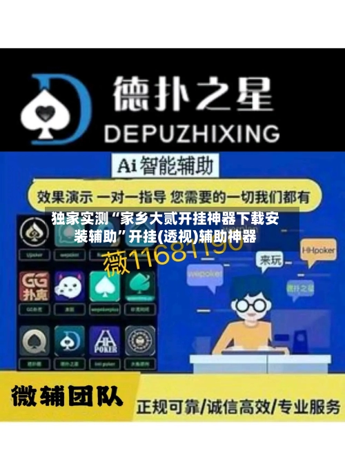独家实测“家乡大贰开挂神器下载安装辅助	”开挂(透视)辅助神器-第2张图片