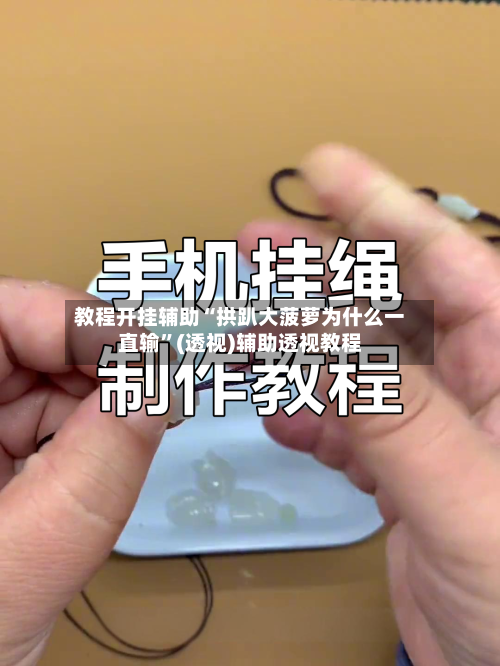 教程开挂辅助“拱趴大菠萝为什么一直输”(透视)辅助透视教程-第1张图片