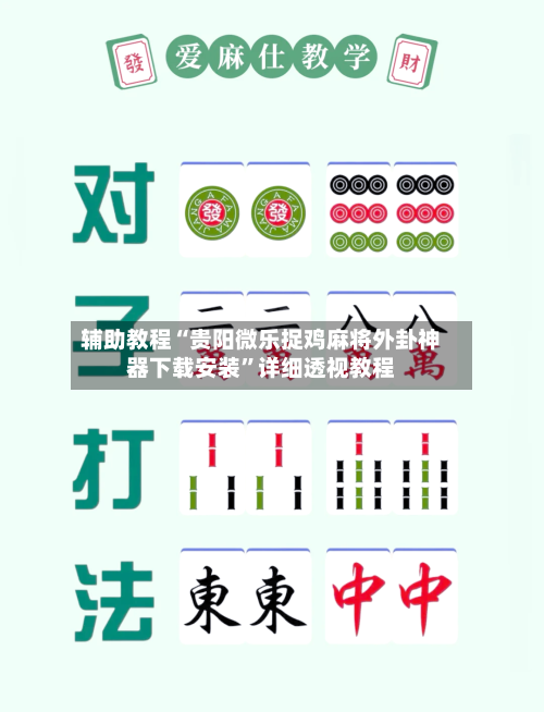 辅助教程“贵阳微乐捉鸡麻将外卦神器下载安装”详细透视教程-第1张图片