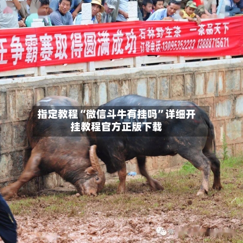 指定教程“微信斗牛有挂吗	”详细开挂教程官方正版下载-第2张图片