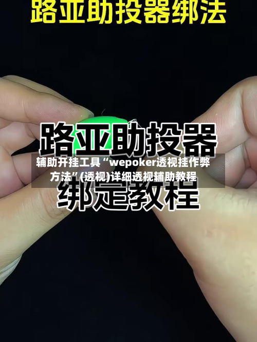 辅助开挂工具“wepoker透视挂作弊方法”(透视)详细透视辅助教程-第3张图片