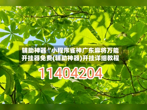 辅助神器“小程序雀神广东麻将万能开挂器免费(辅助神器)开挂详细教程-第2张图片