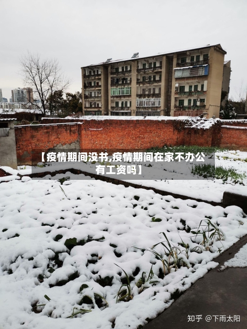 【疫情期间没书,疫情期间在家不办公有工资吗】-第1张图片