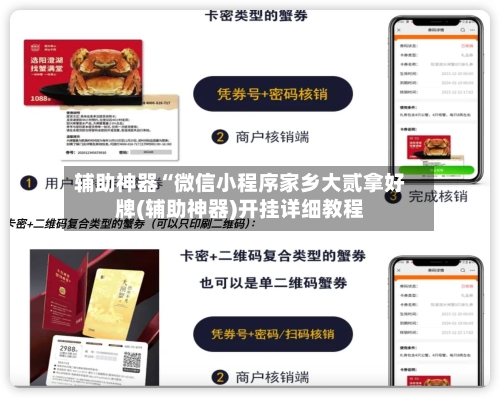 辅助神器“微信小程序家乡大贰拿好牌(辅助神器)开挂详细教程-第3张图片