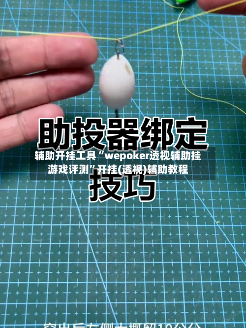 辅助开挂工具“wepoker透视辅助挂游戏评测	”开挂(透视)辅助教程-第2张图片