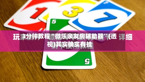 3分钟教程“微乐亲友房辅助器”(透视)其实确实有挂-第2张图片
