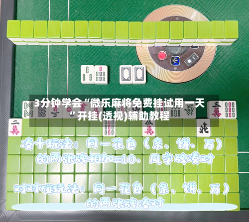 3分钟学会“微乐麻将免费挂试用一天”开挂(透视)辅助教程-第2张图片