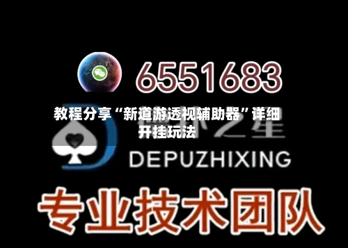 教程分享“新道游透视辅助器”详细开挂玩法-第2张图片