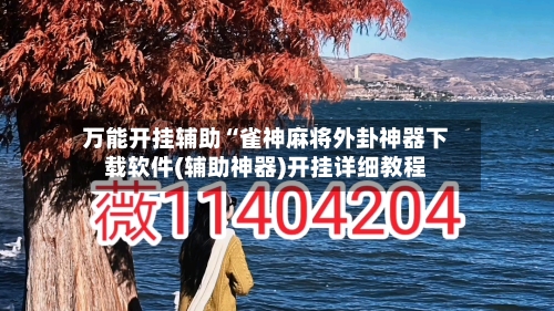 万能开挂辅助“雀神麻将外卦神器下载软件(辅助神器)开挂详细教程-第2张图片