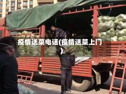 疫情送菜电话(疫情送菜上门)-第2张图片