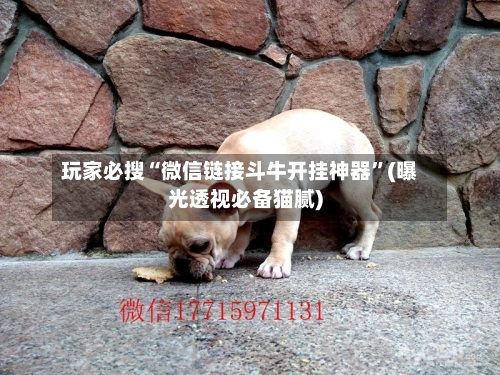 玩家必搜“微信链接斗牛开挂神器	”(曝光透视必备猫腻)-第1张图片