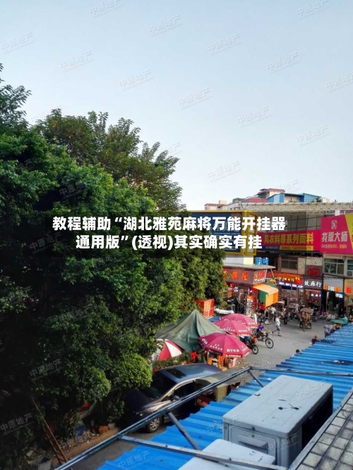 教程辅助“湖北雅苑麻将万能开挂器通用版	”(透视)其实确实有挂-第2张图片