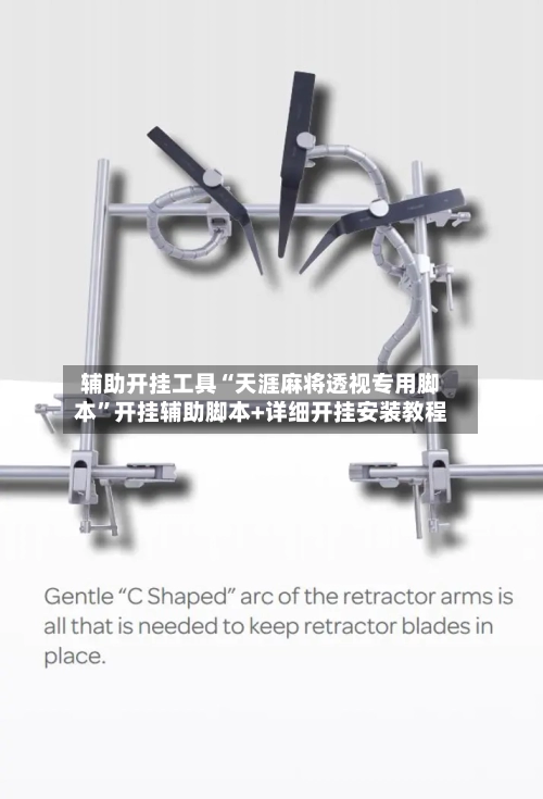 辅助开挂工具“天涯麻将透视专用脚本	”开挂辅助脚本+详细开挂安装教程-第2张图片