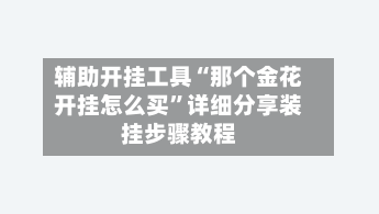 辅助开挂工具“那个金花开挂怎么买	”详细分享装挂步骤教程-第2张图片