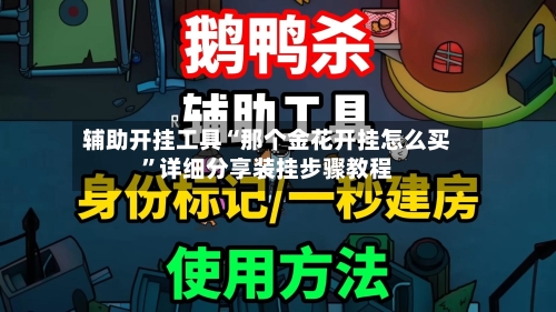 辅助开挂工具“那个金花开挂怎么买”详细分享装挂步骤教程-第3张图片