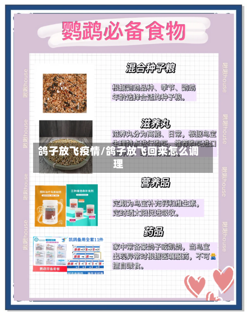鸽子放飞疫情/鸽子放飞回来怎么调理-第2张图片