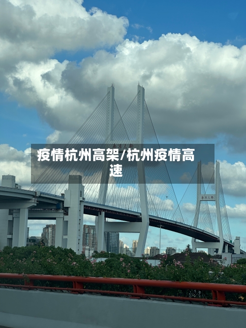 疫情杭州高架/杭州疫情高速-第2张图片