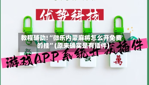 教程辅助!“微乐内蒙麻将怎么开免费的挂”(原来确实是有插件)-第2张图片