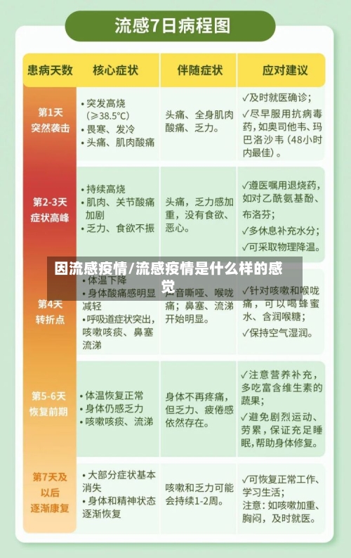 因流感疫情/流感疫情是什么样的感觉-第2张图片