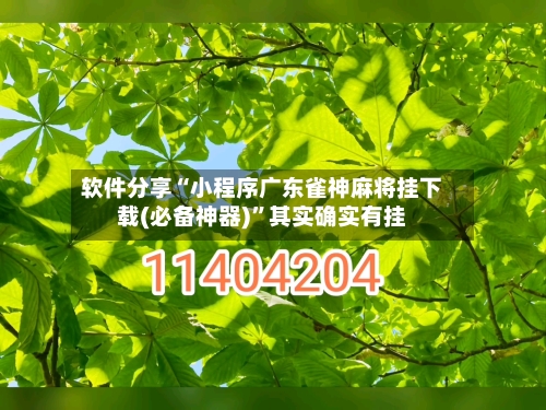 软件分享“小程序广东雀神麻将挂下载(必备神器)	”其实确实有挂-第2张图片