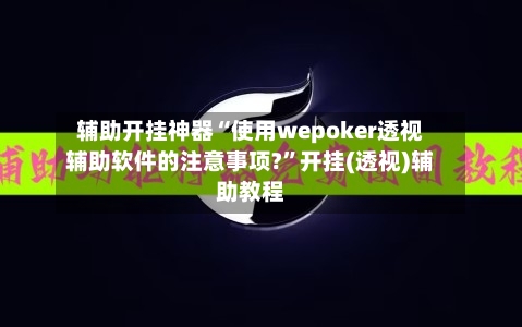 辅助开挂神器“使用wepoker透视辅助软件的注意事项?”开挂(透视)辅助教程-第2张图片