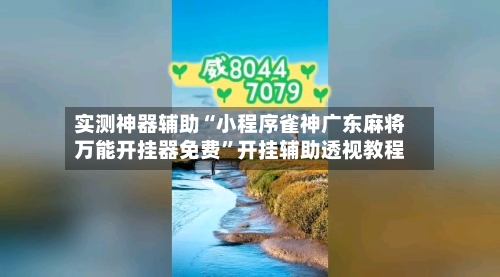 实测神器辅助“小程序雀神广东麻将万能开挂器免费”开挂辅助透视教程-第3张图片