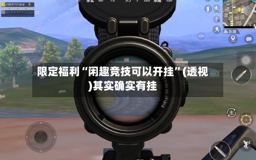 限定福利“闲趣竞技可以开挂	”(透视)其实确实有挂-第2张图片