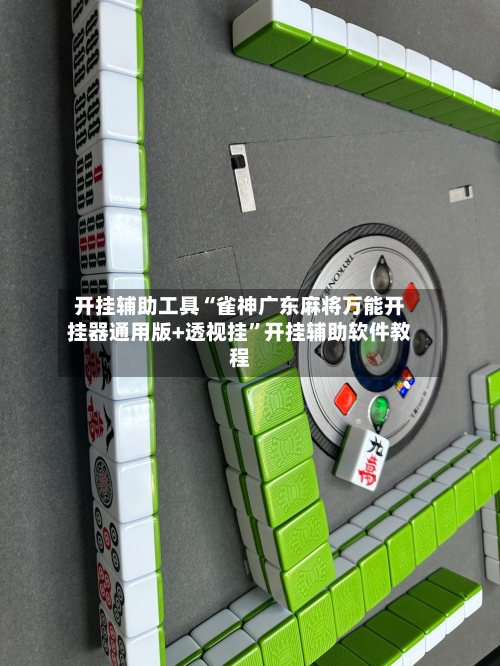 开挂辅助工具“雀神广东麻将万能开挂器通用版+透视挂”开挂辅助软件教程-第1张图片