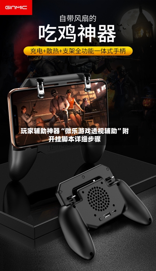 玩家辅助神器“微乐游戏透视辅助”附开挂脚本详细步骤-第2张图片