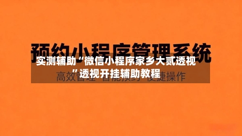 实测辅助“微信小程序家乡大贰透视”透视开挂辅助教程-第2张图片