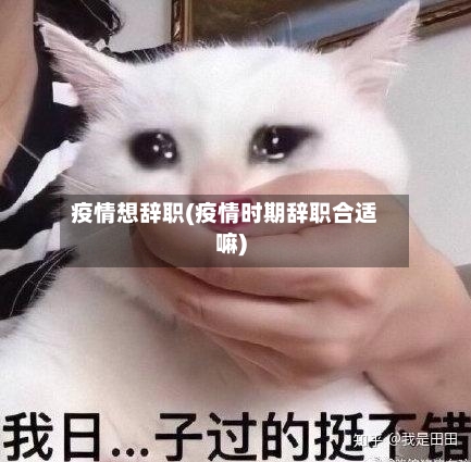 疫情想辞职(疫情时期辞职合适嘛)-第1张图片