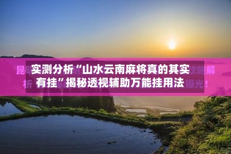 实测分析“山水云南麻将真的其实有挂”揭秘透视辅助万能挂用法-第1张图片