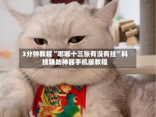 3分钟教程“嘟嘟十三张有没有挂	”科技辅助神器手机版教程-第1张图片