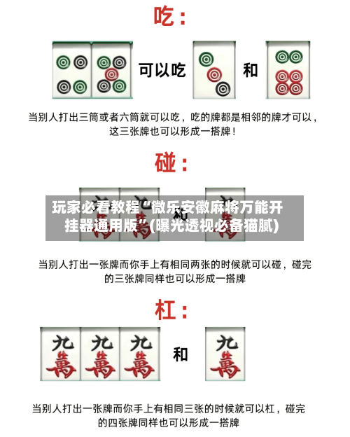 玩家必看教程“微乐安徽麻将万能开挂器通用版	”(曝光透视必备猫腻)-第2张图片