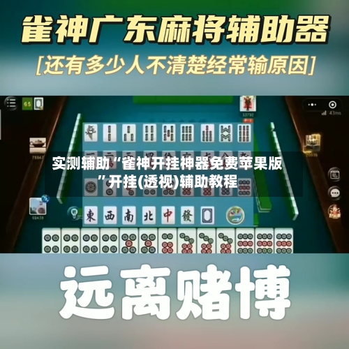 实测辅助“雀神开挂神器免费苹果版”开挂(透视)辅助教程-第1张图片