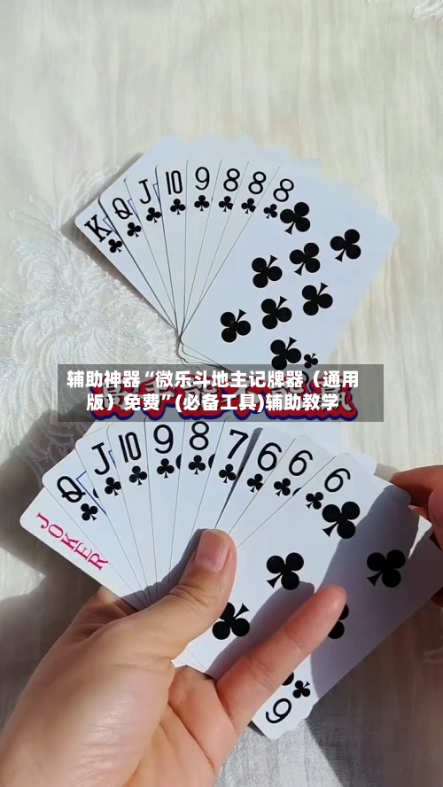 辅助神器“微乐斗地主记牌器（通用版）免费	”(必备工具)辅助教学-第1张图片