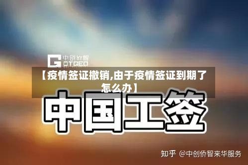 【疫情签证撤销,由于疫情签证到期了怎么办】-第2张图片