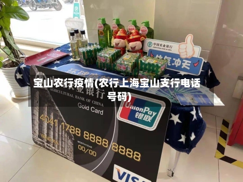 宝山农行疫情(农行上海宝山支行电话号码)-第1张图片
