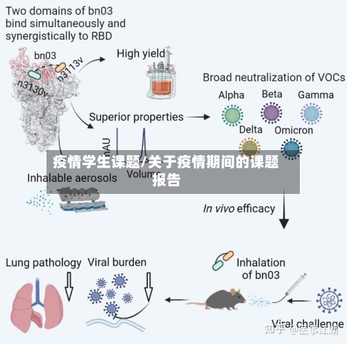 疫情学生课题/关于疫情期间的课题报告-第1张图片