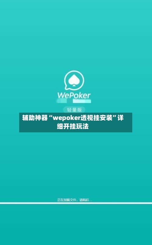 辅助神器“wepoker透视挂安装”详细开挂玩法-第2张图片