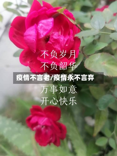 疫情不言老/疫情永不言弃-第2张图片