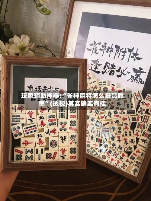 玩家辅助神器:“雀神麻将怎么提高胜率	”(透视)其实确实有挂-第3张图片